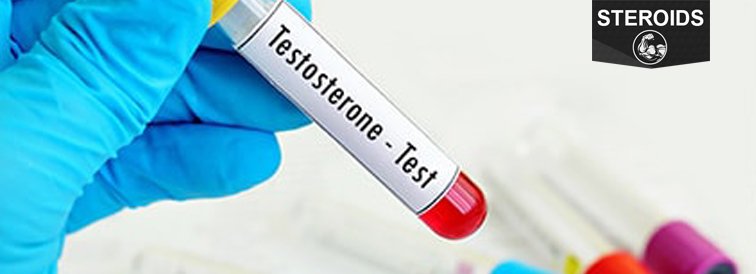 How Does Testosterone affect in your Health?